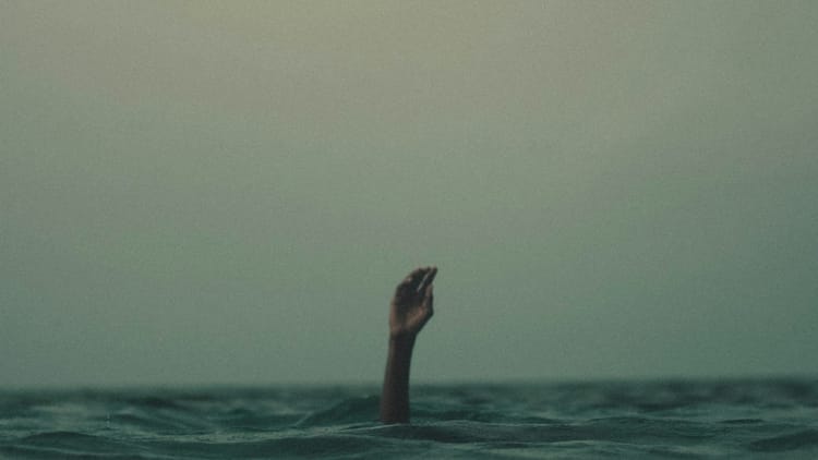 To Consume or Be Consumed.