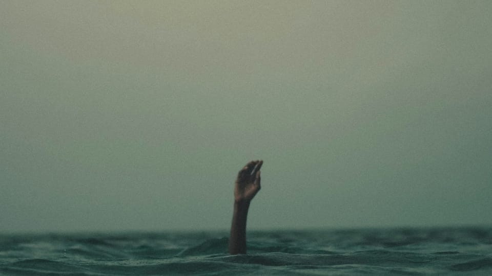 To Consume or Be Consumed.